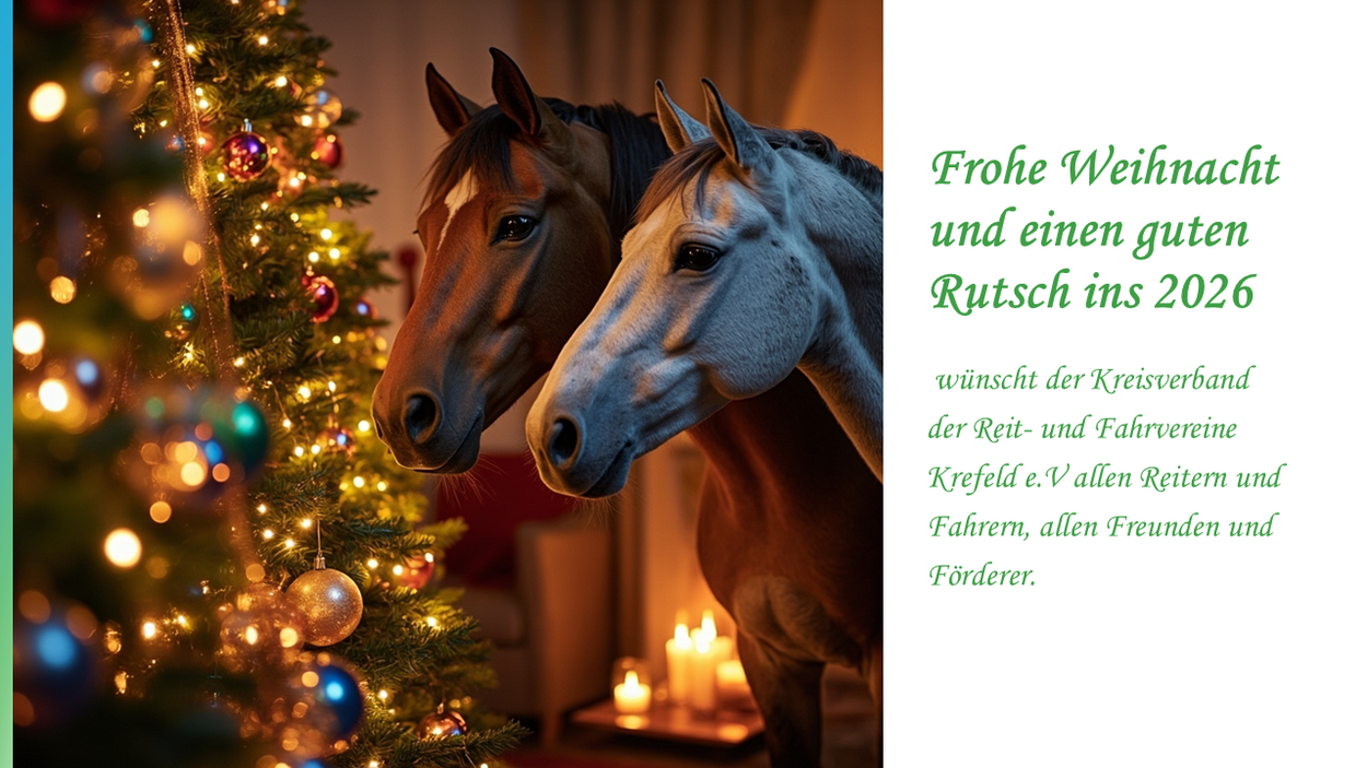 Frohe Weihnacht und einen guten Rutsch ins 2026